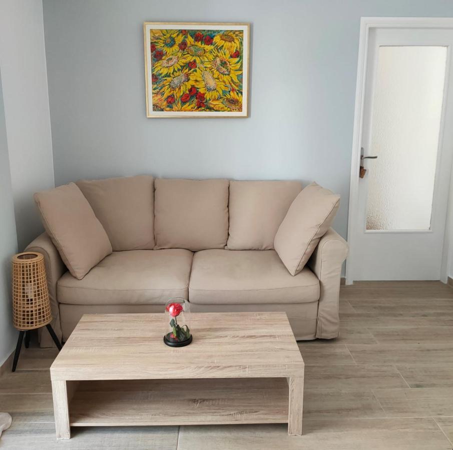 Sea & Chess Apt Rental 干尼亞 外观 照片
